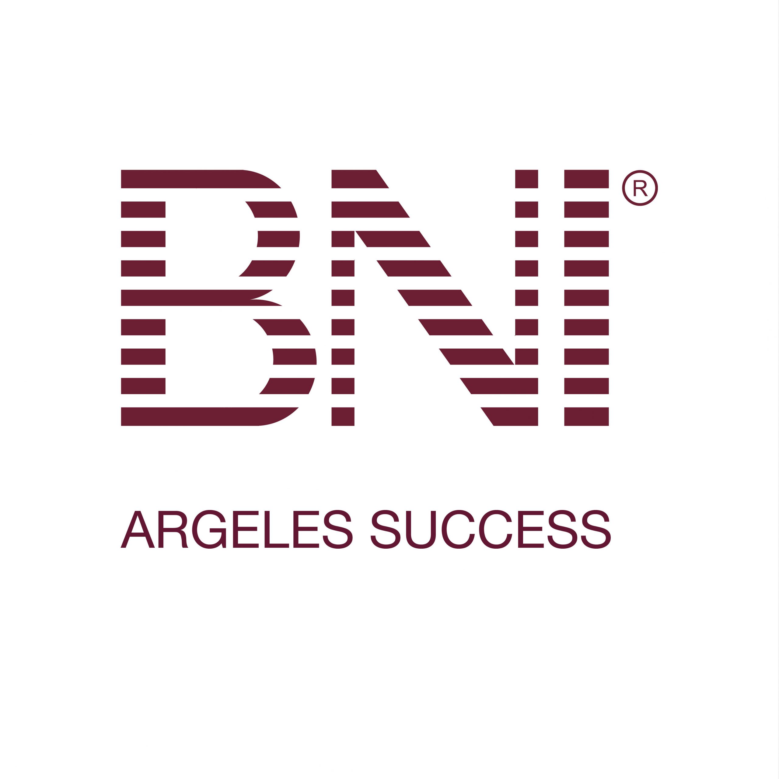 BNI-Argeles-Business