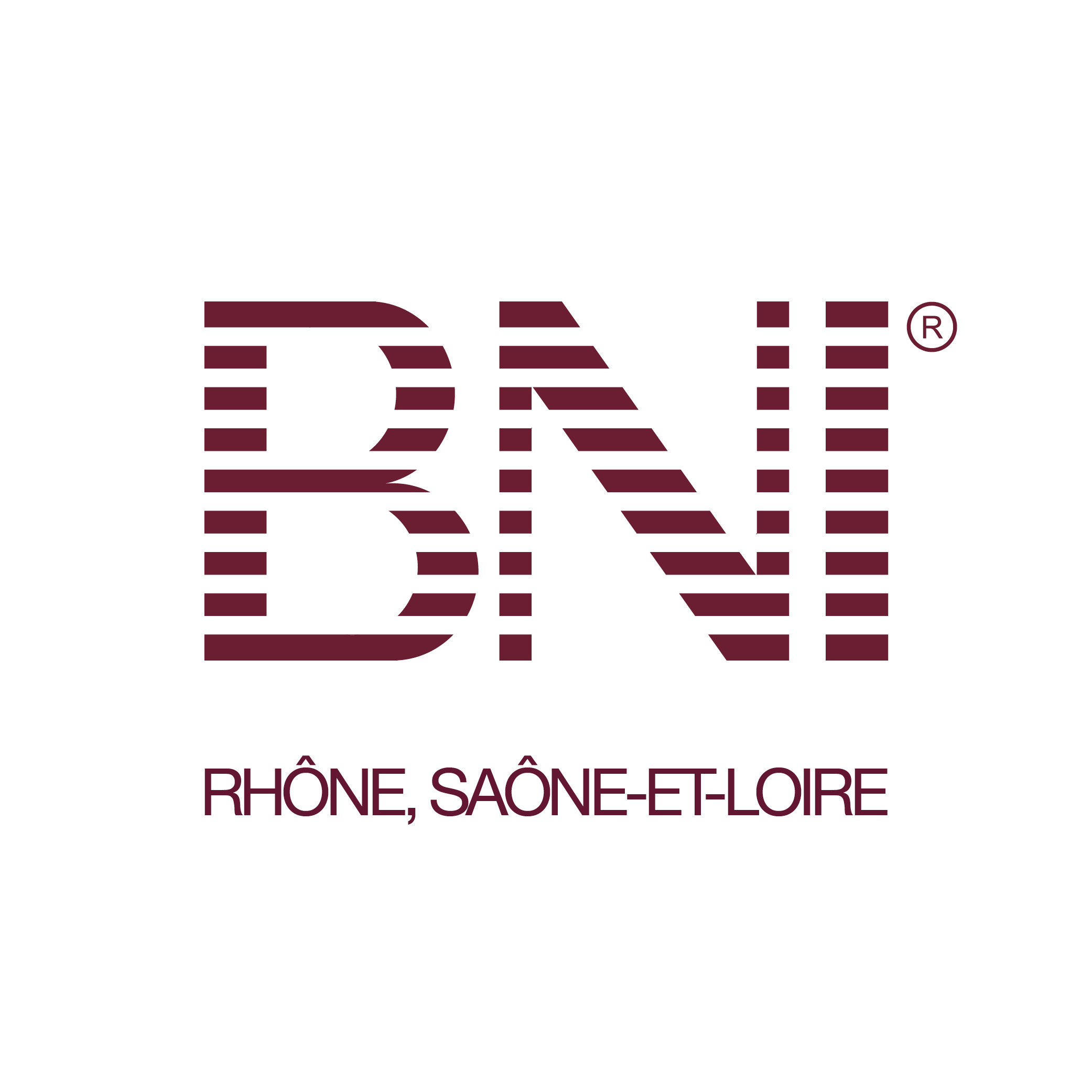 BNI Rhone Saone et Loire