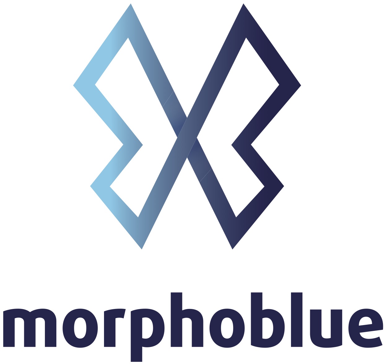 morphoblue-_morpho-no-baseline.jpg